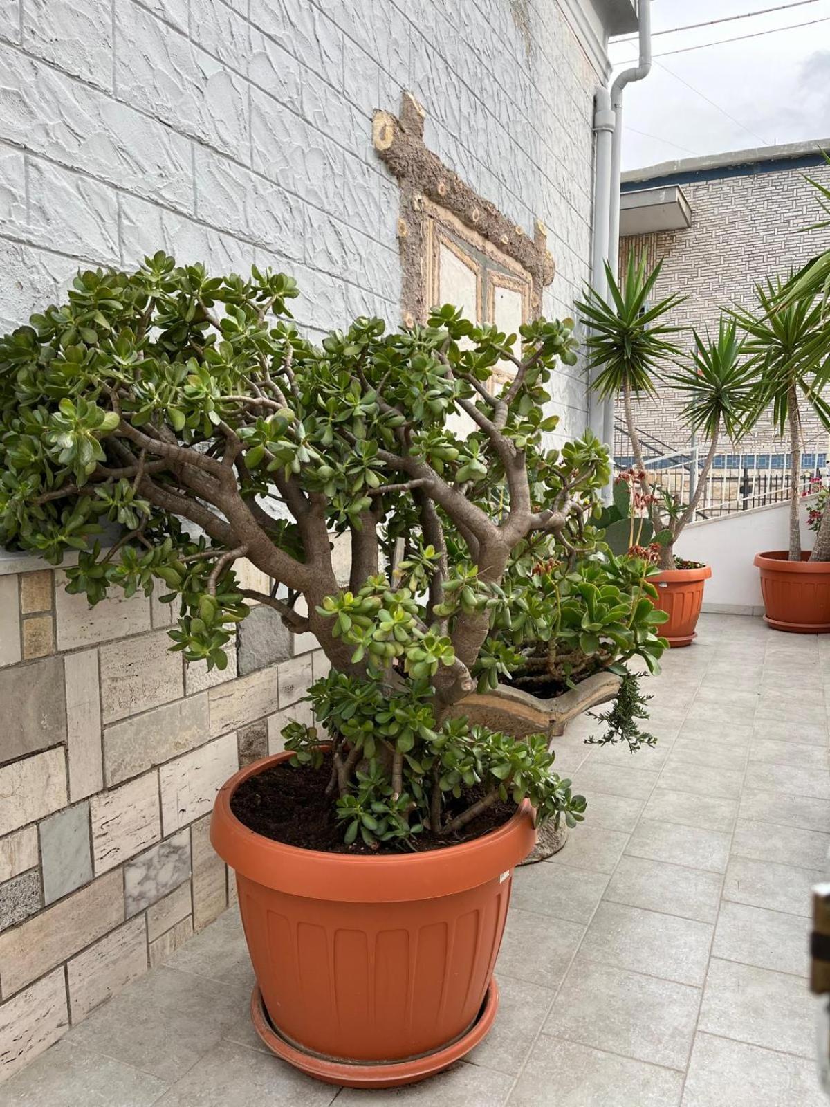 Casa Myda Apartment Bari Luaran gambar